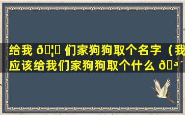 给我 🦋 们家狗狗取个名字（我应该给我们家狗狗取个什么 🪴 名字好）